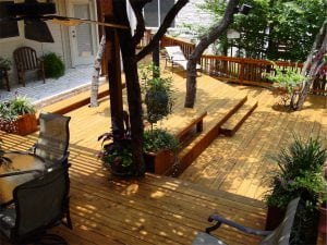 Deck with Trees and A Bench